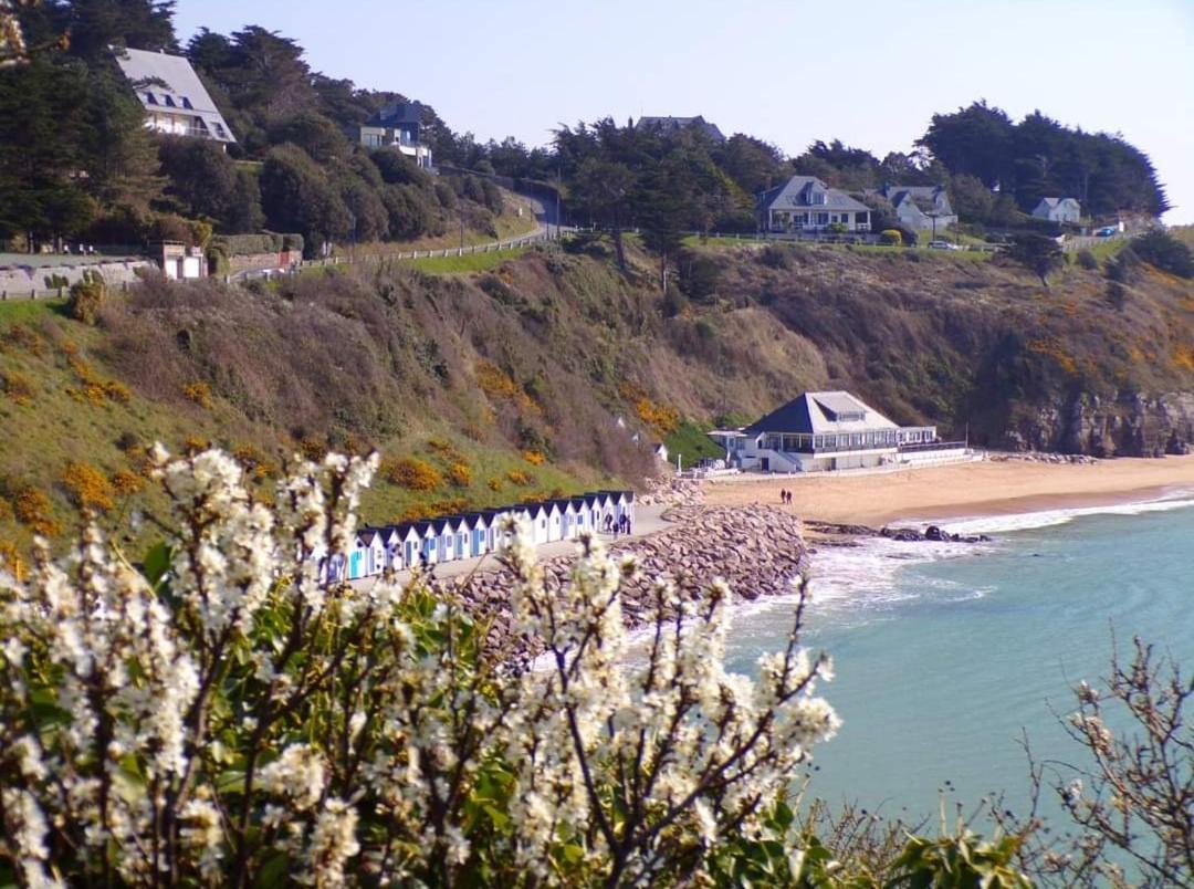 Maison Des Reves A 700M De La Mer Villa Barneville-Carteret Bagian luar foto